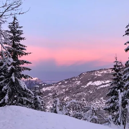 Luxury Penthouse Duplex In A Chalet, Villars-gryon 公寓式酒店 格里翁